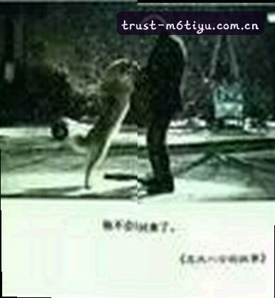 刘洋
